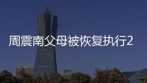 南父万余金融借款纠纷周震执行元 恢复母被涉及